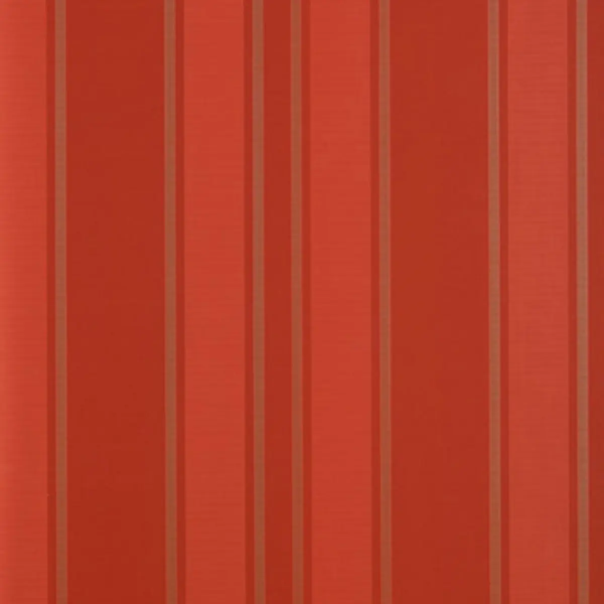 MORGAN STRIPE_ CORAL