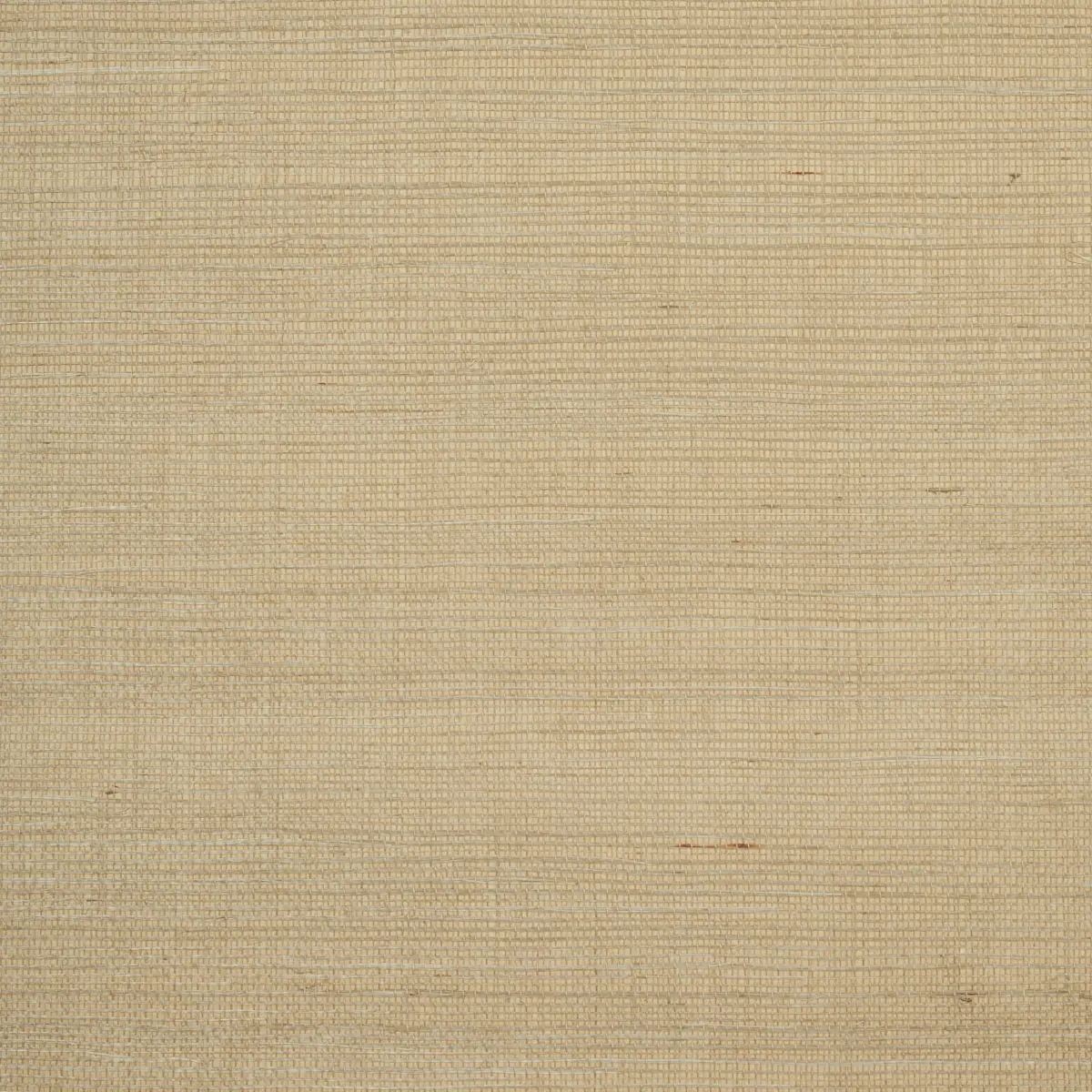 HARUKI SISAL_ DRIFTWOOD
