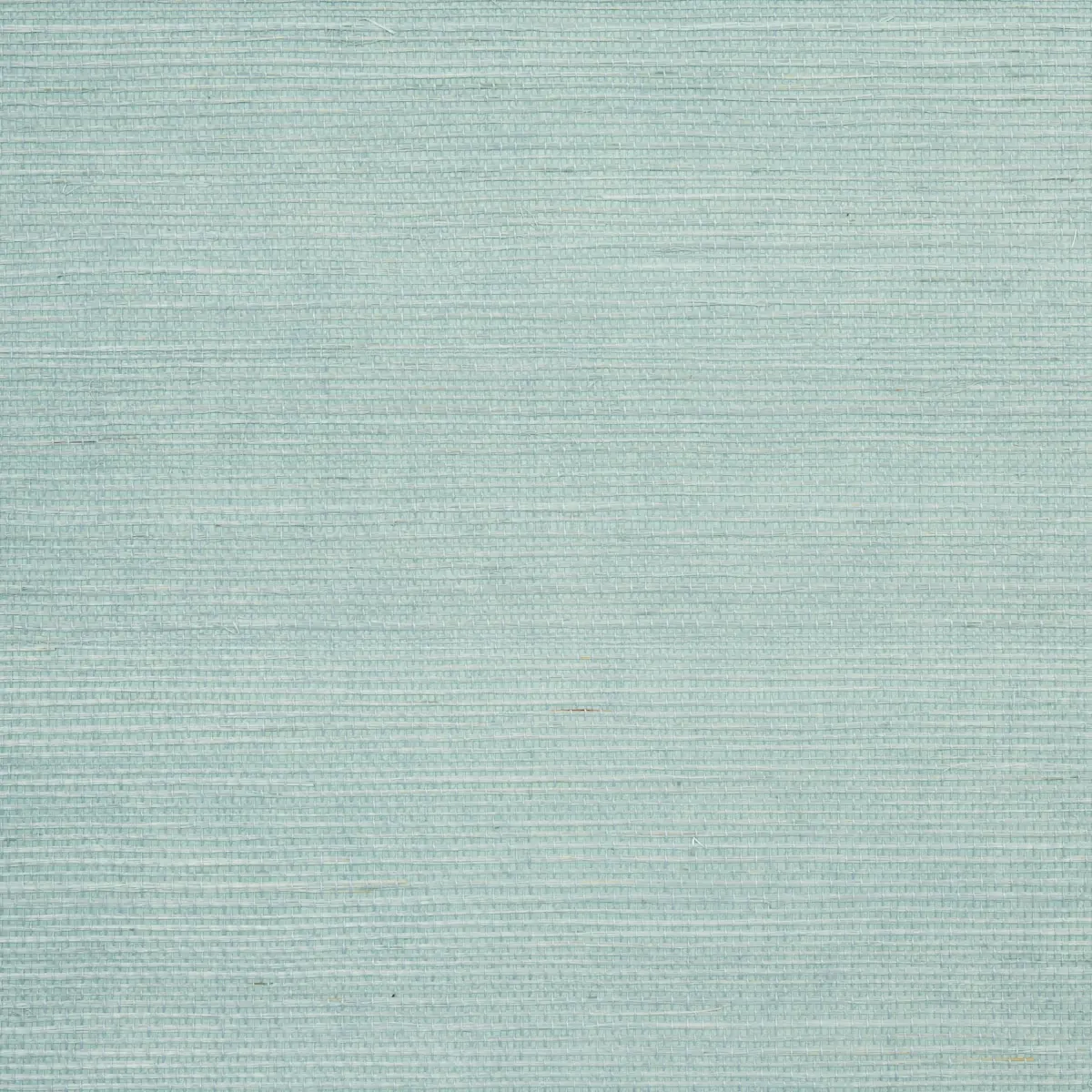 HARUKI SISAL_ ROBIN'S EGG