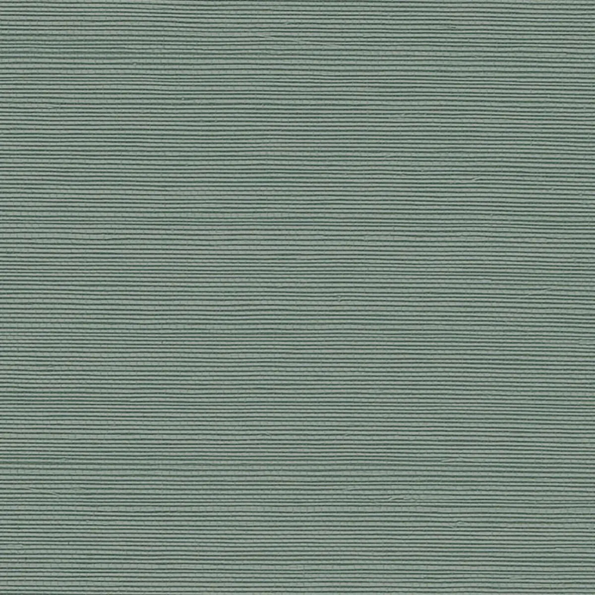 HARUKI SISAL_ NILE