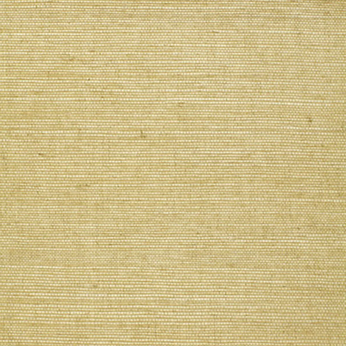 HARUKI SISAL_ CELERY