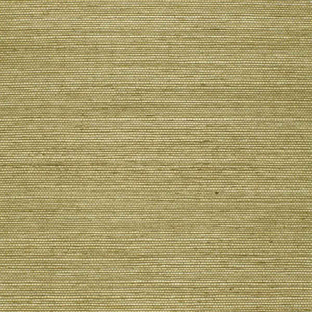 HARUKI SISAL_ OLIVE