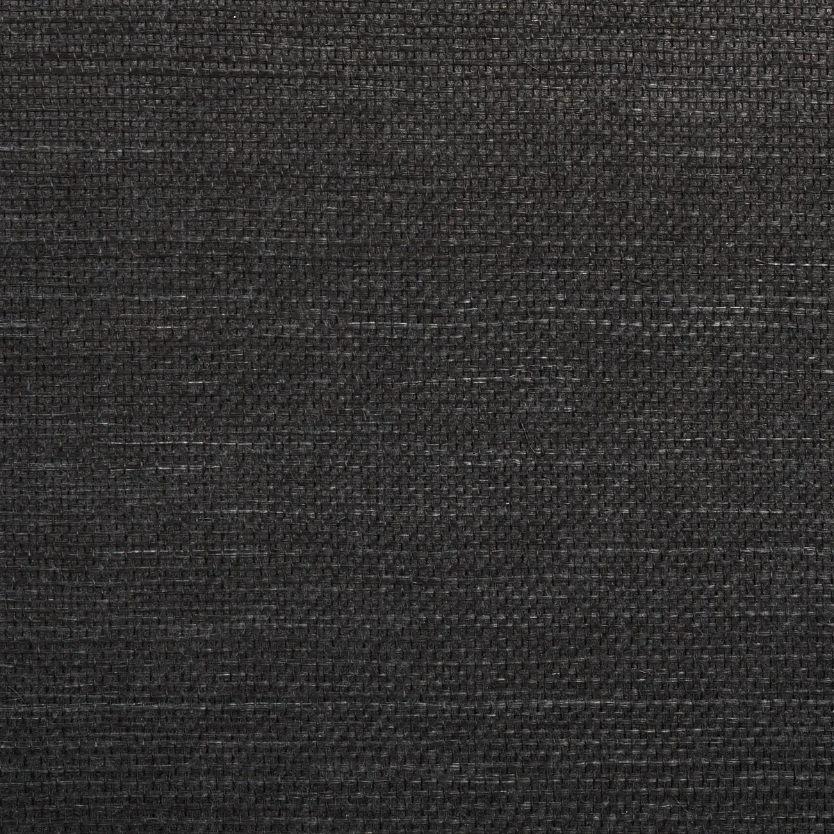 HARUKI SISAL_ JET