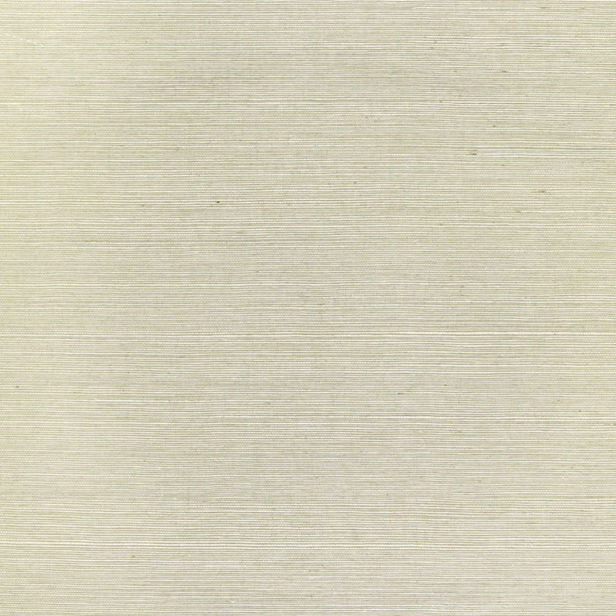HARUKI SISAL_ FOG