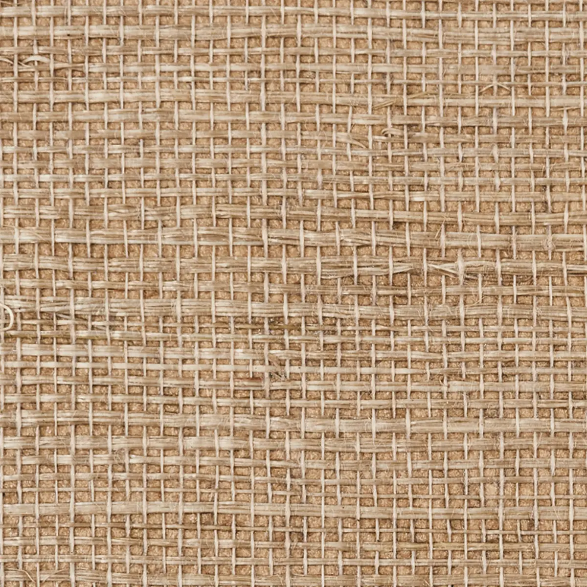 HARUKI SISAL_ FLAX