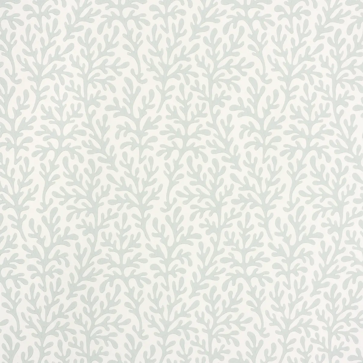 SEA CORAL_ MINERAL