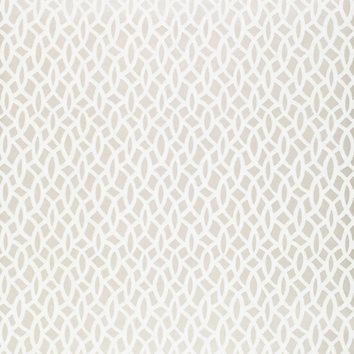 CHAIN LINK_ SILVER