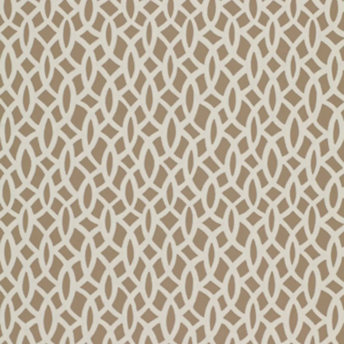 CHAIN LINK_ FLAX