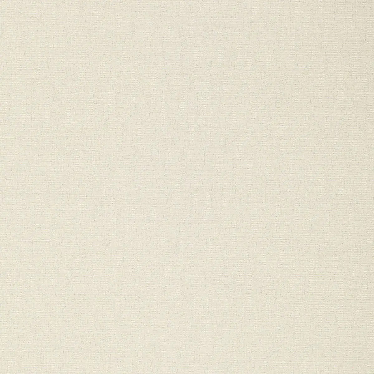 GALWAY TEXTURE_ CANVAS
