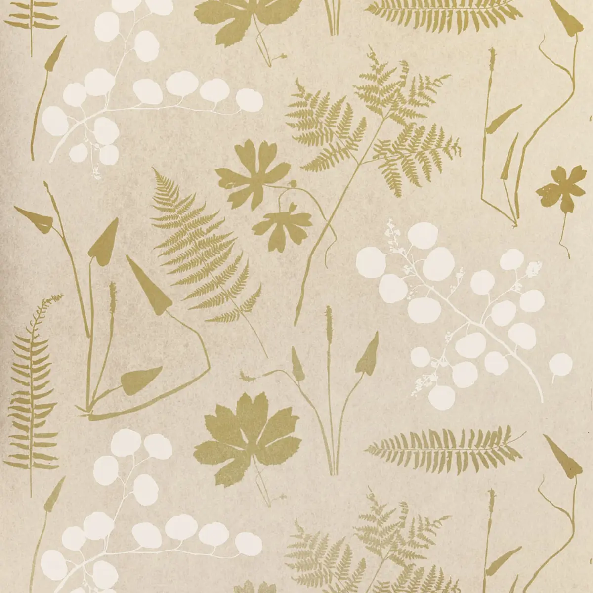 MODERN BOTANICAL_ PARCHMENT