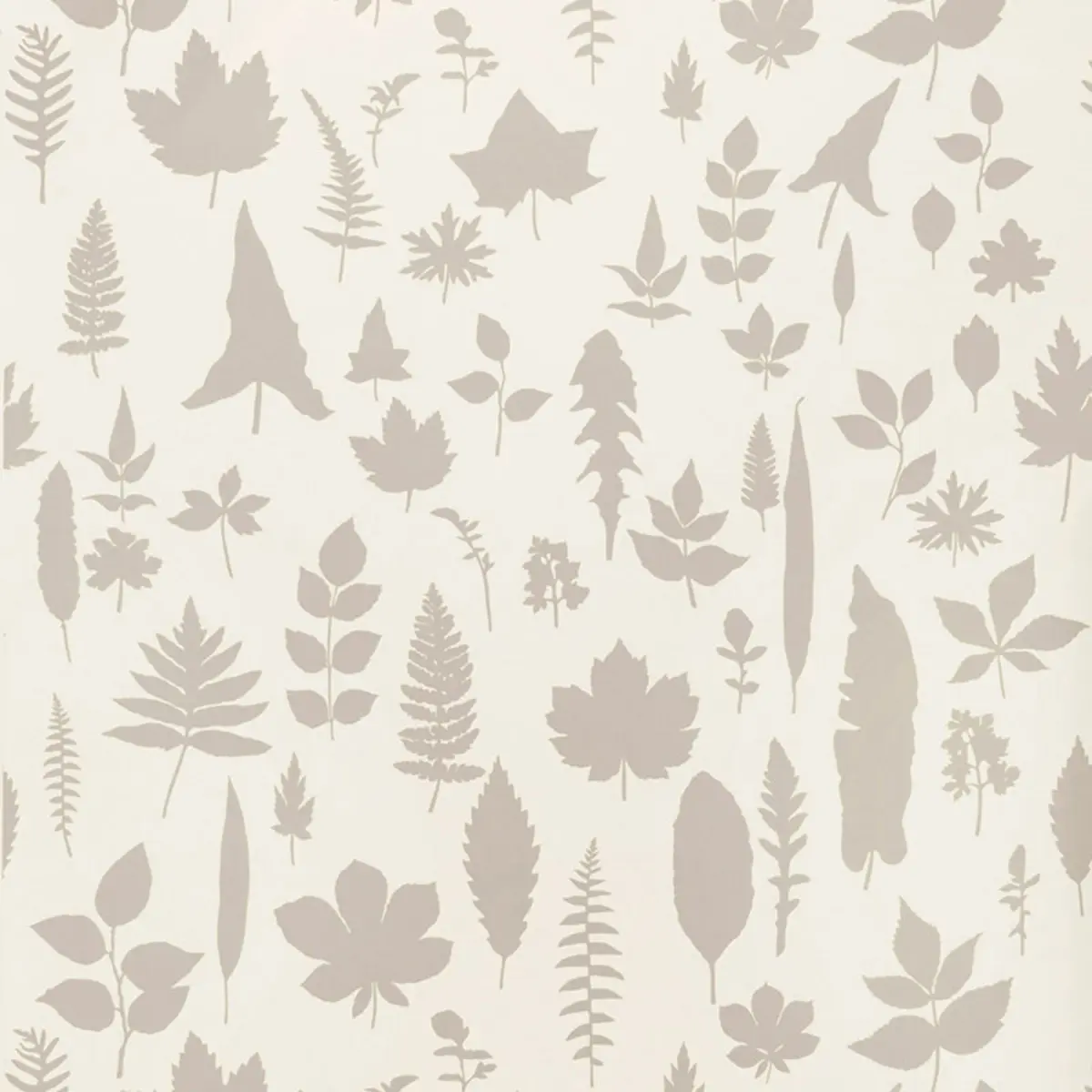LEAVES_ PLATINUM