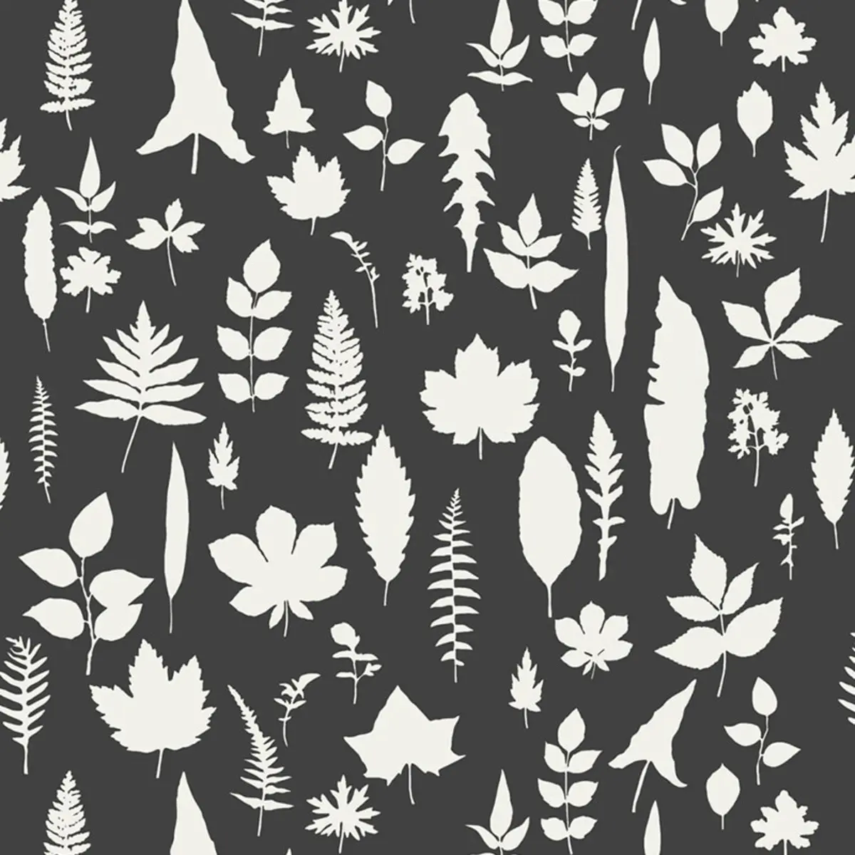 LEAVES_ GRAPHITE