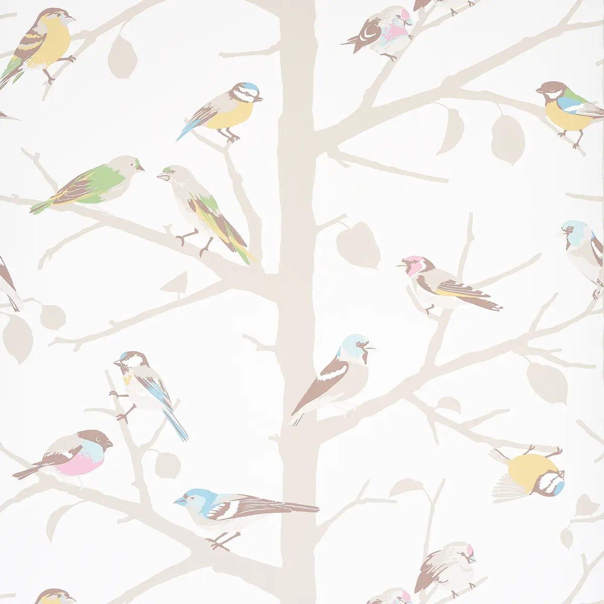 A-TWITTER_ SOFT MULTI