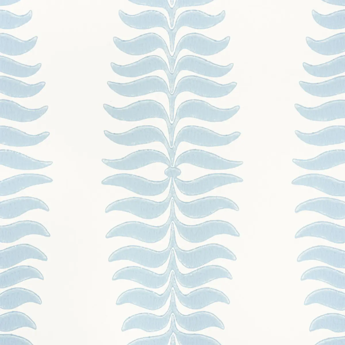 FERN TREE_ SKY