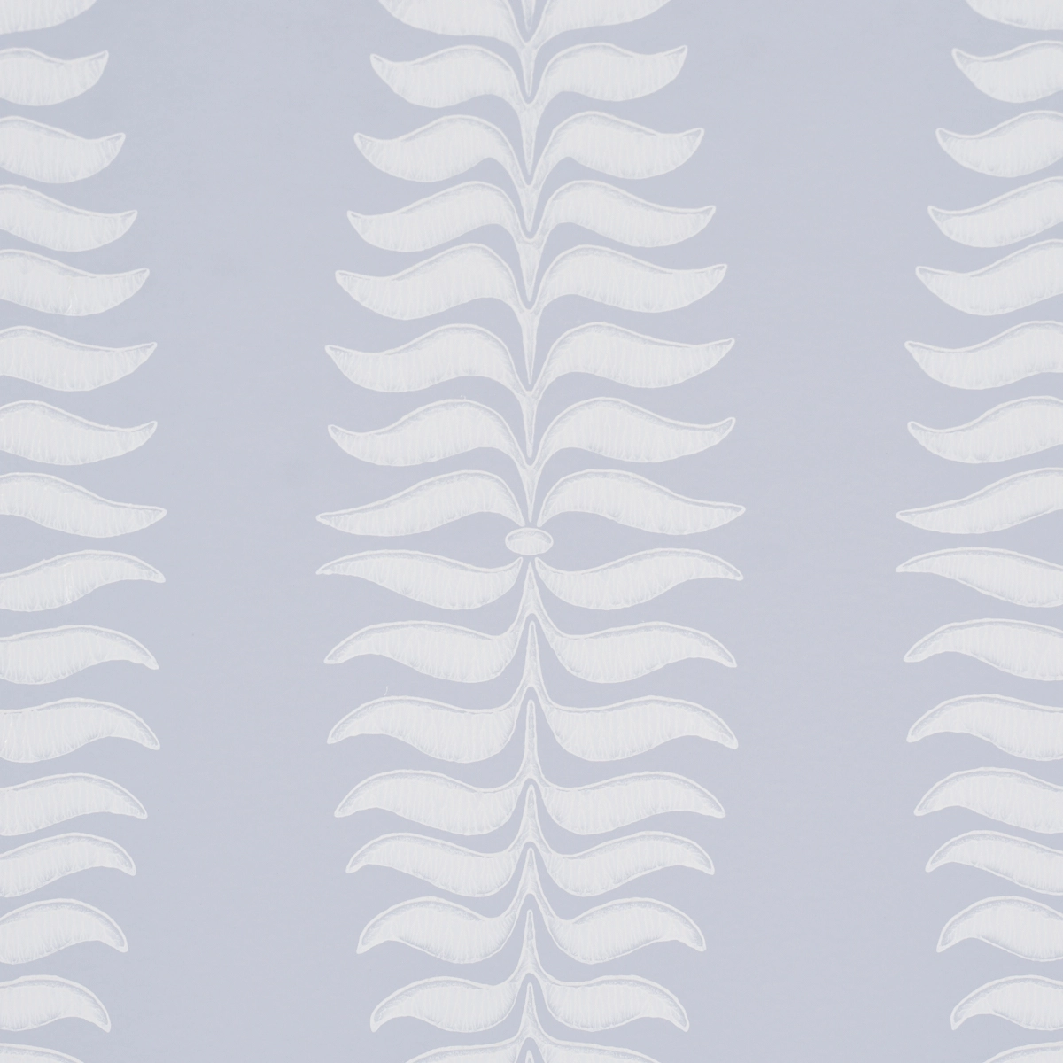 Fern Tree_ CLOUD