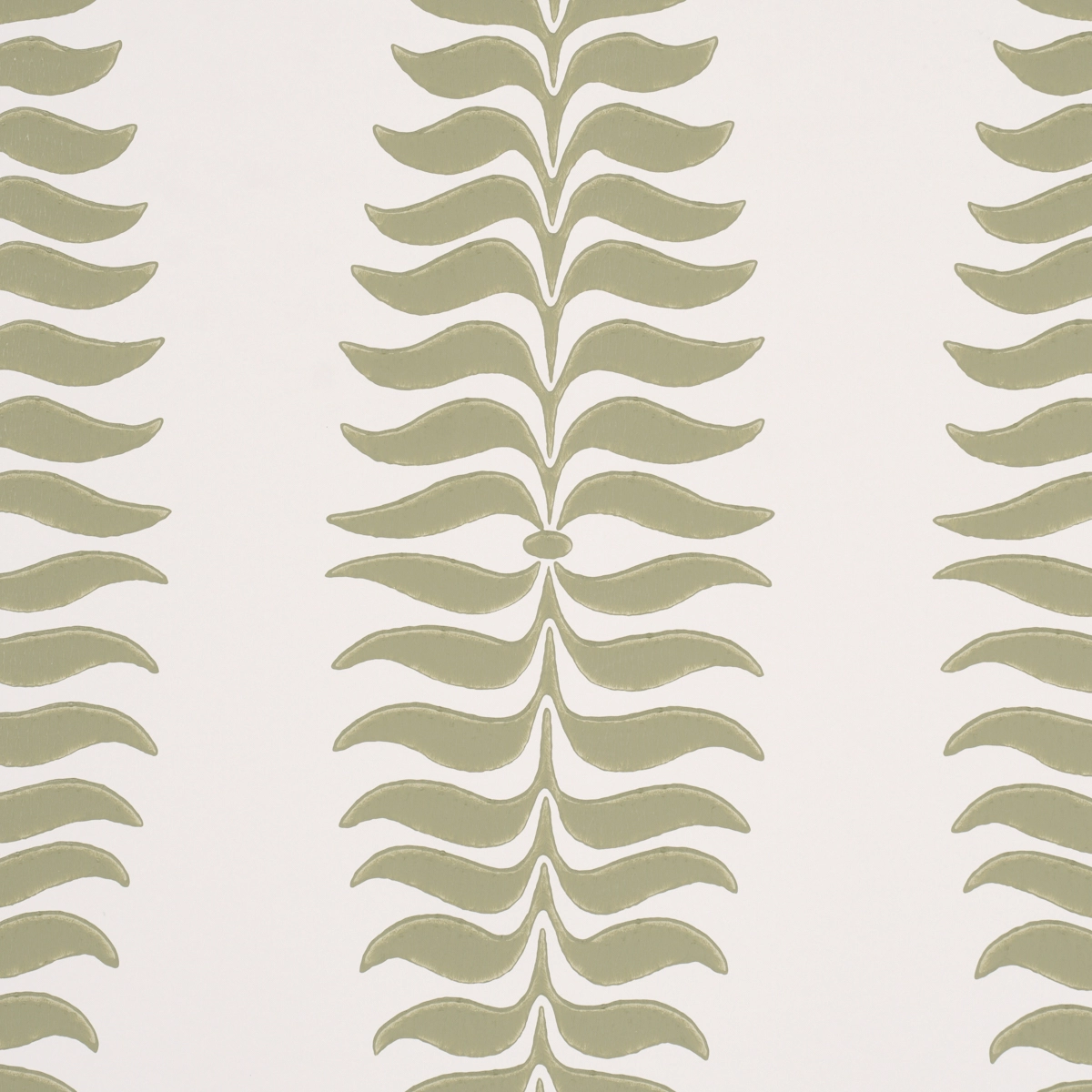 Fern Tree_ SAGE