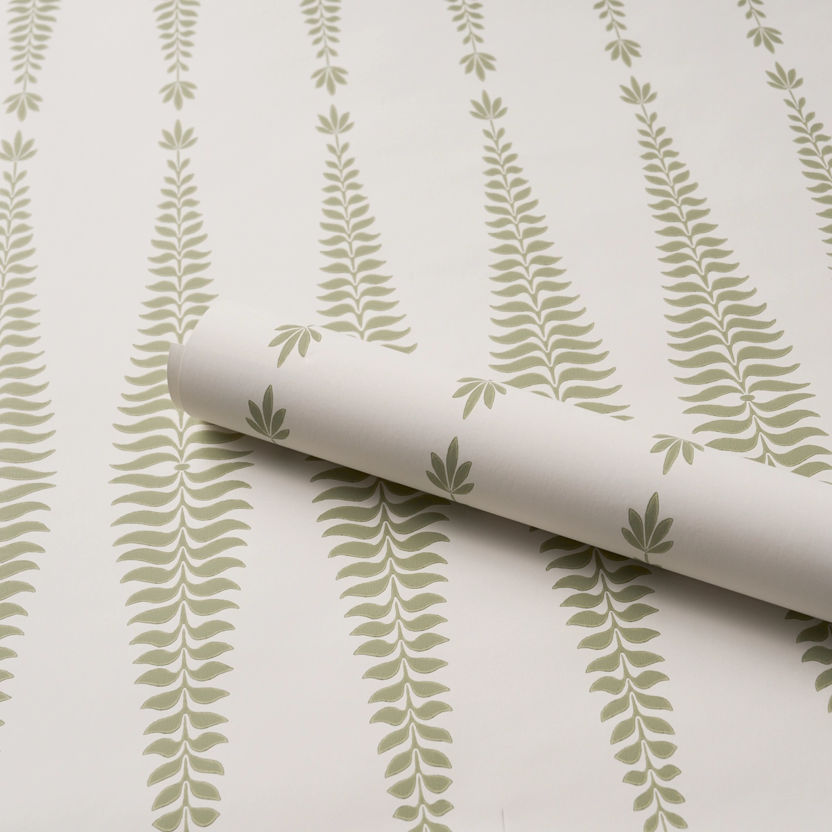 Fern Tree_ SAGE