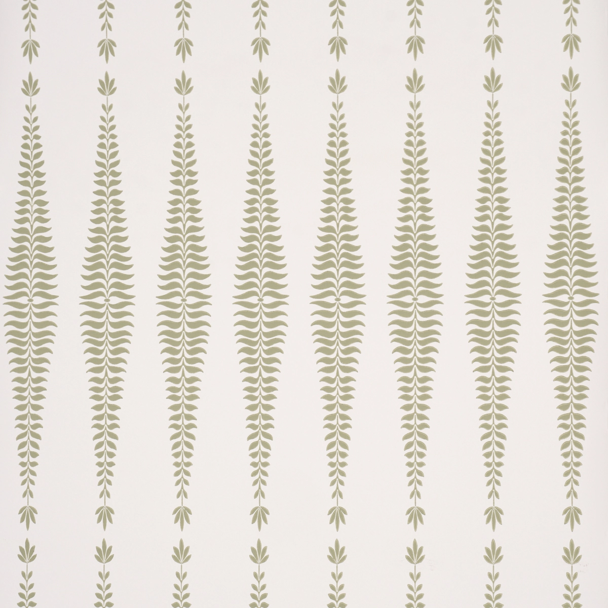 Fern Tree_ SAGE