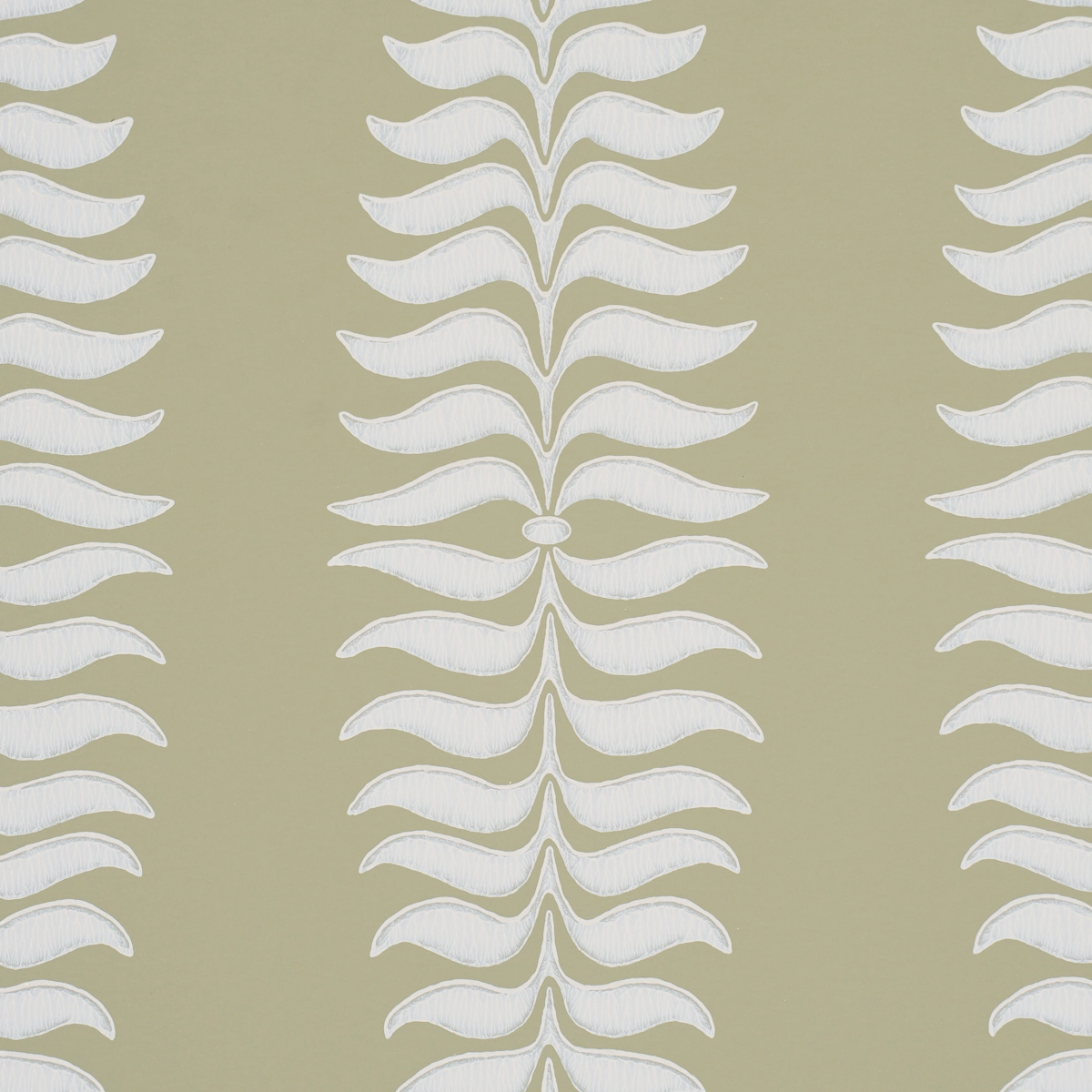 Fern Tree_ OLIVE