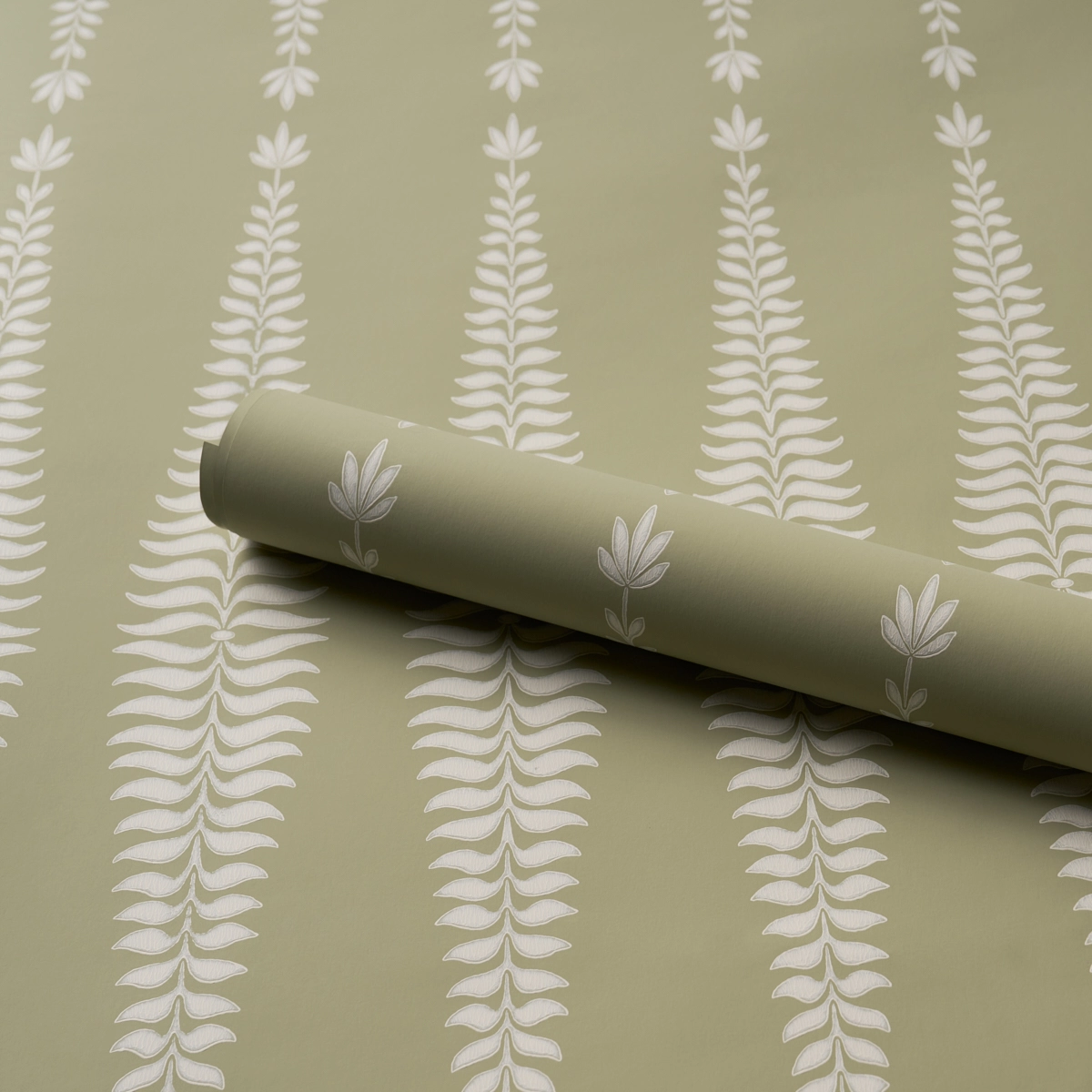 Fern Tree_ OLIVE