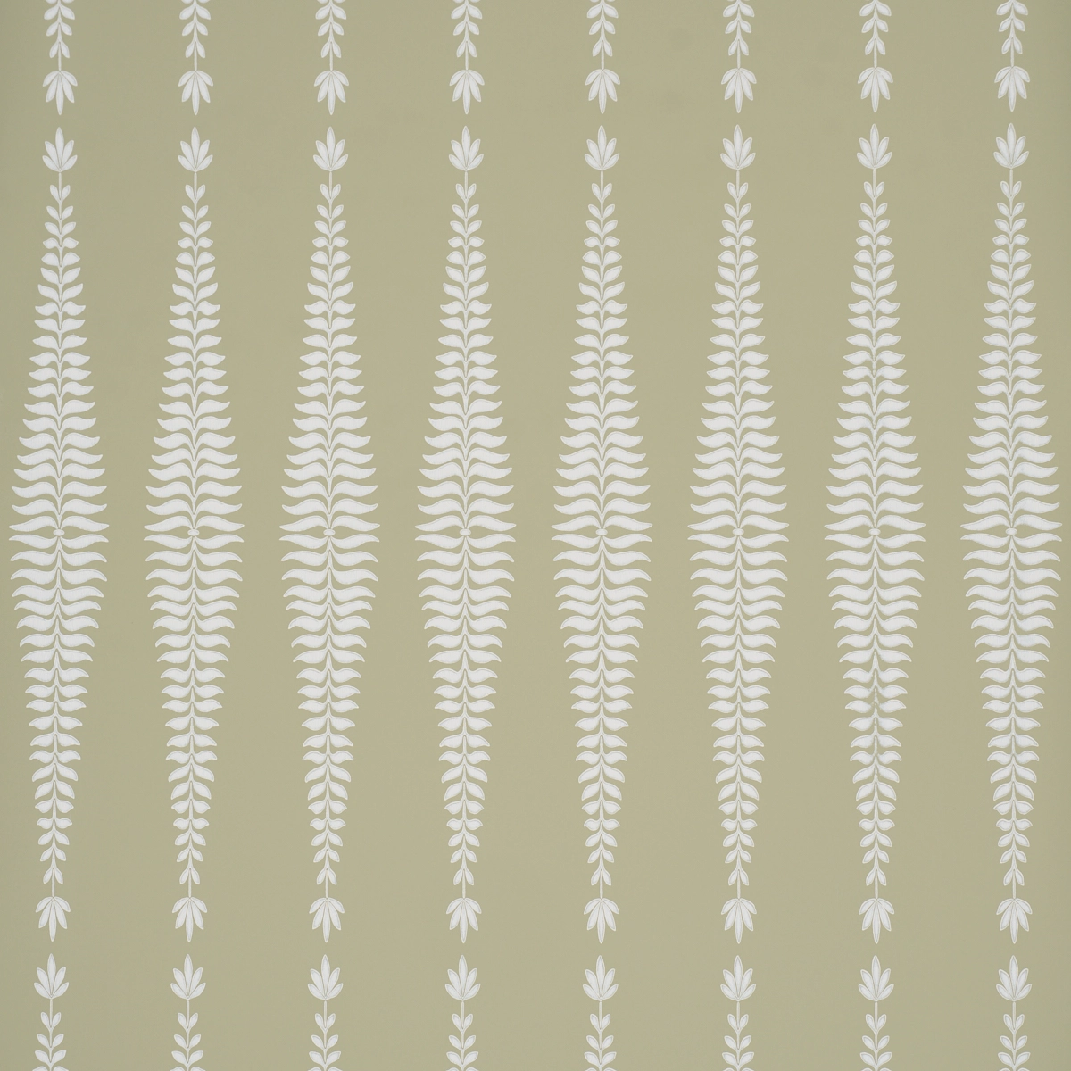 Fern Tree_ OLIVE