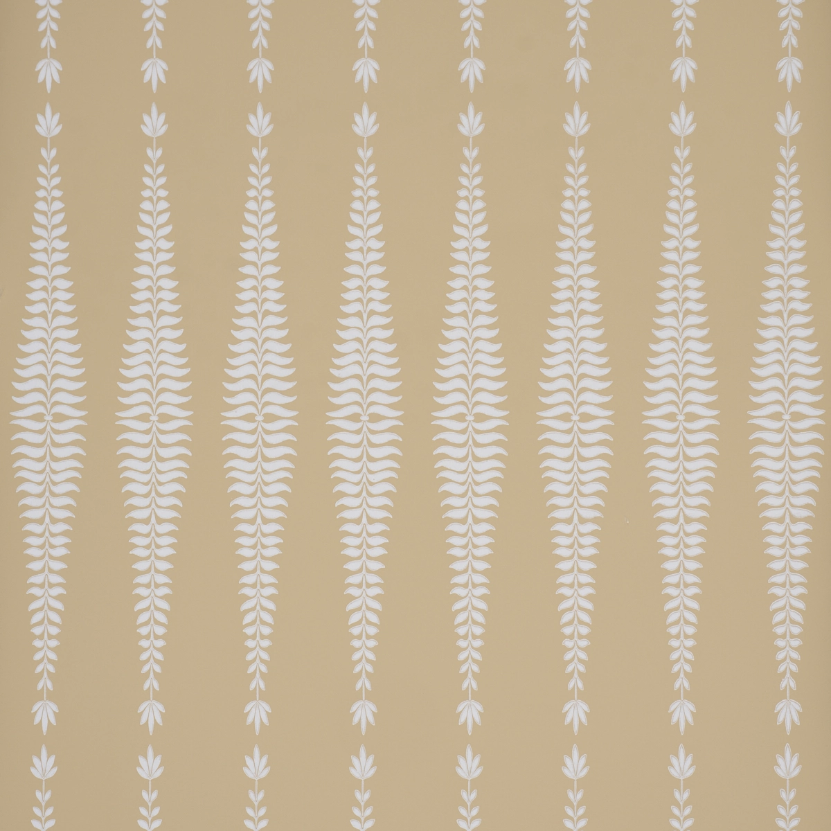 Fern Tree_ OCHRE