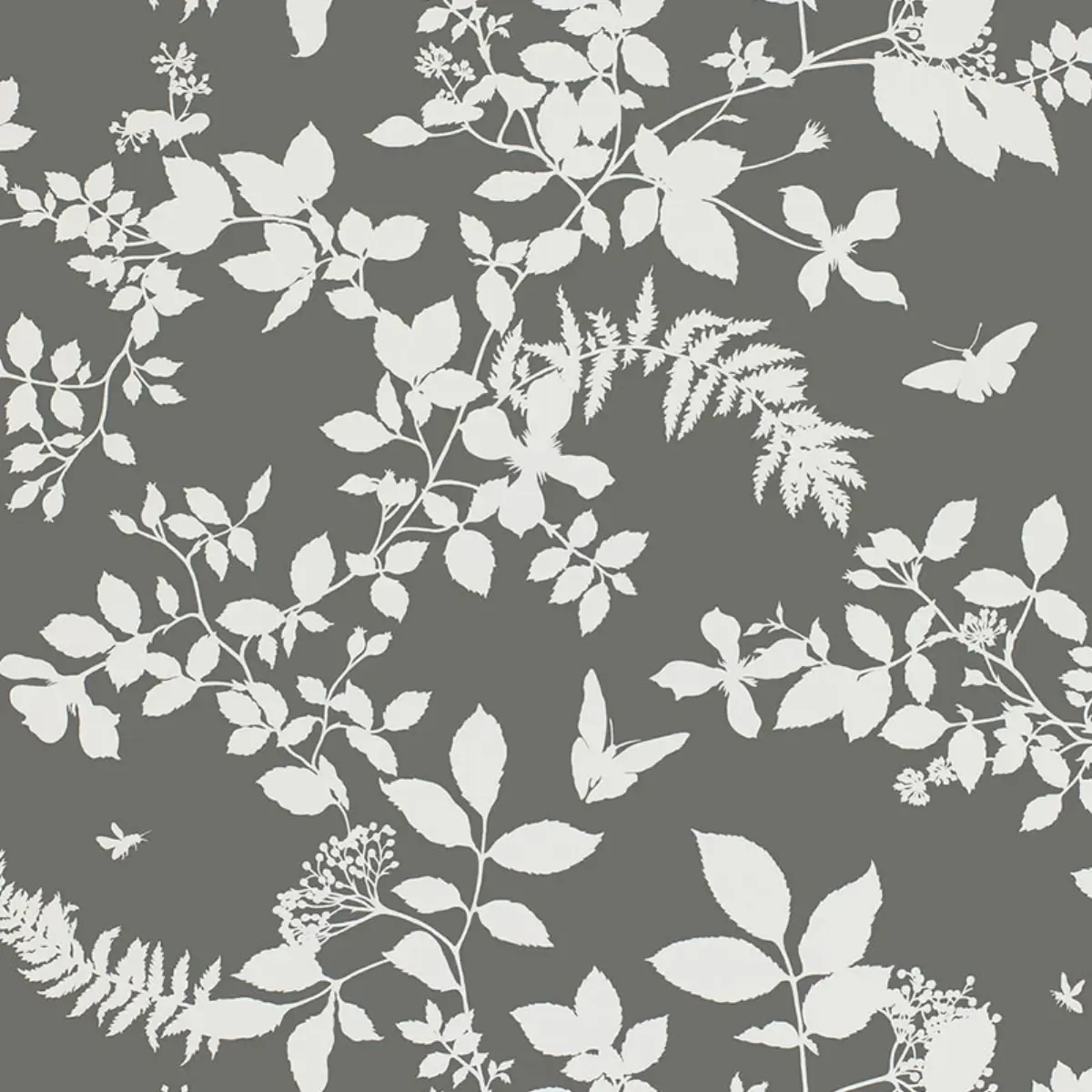 SHADOW VINE_ CHARCOAL