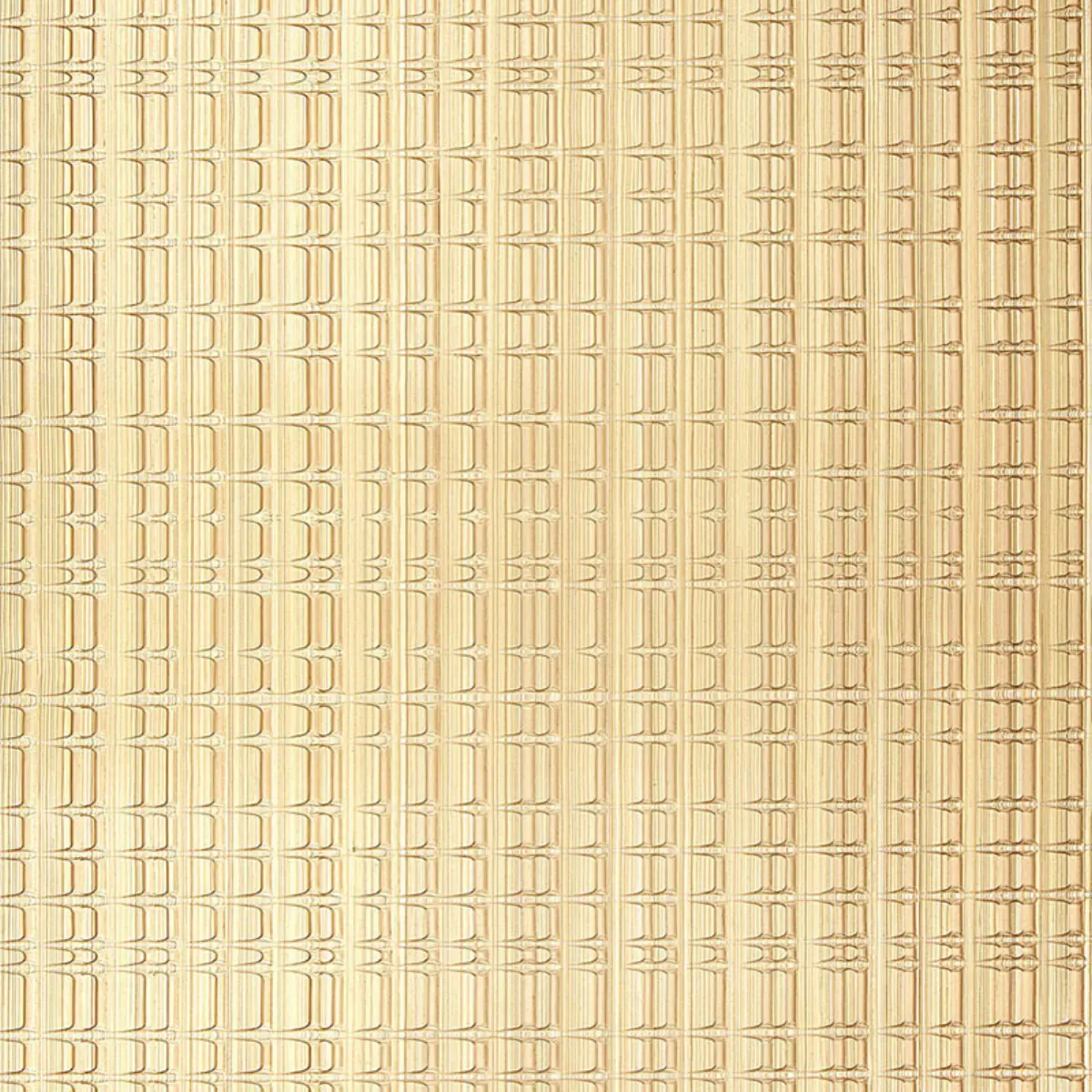 URBAN STRIPE_ CHAMPAGNE