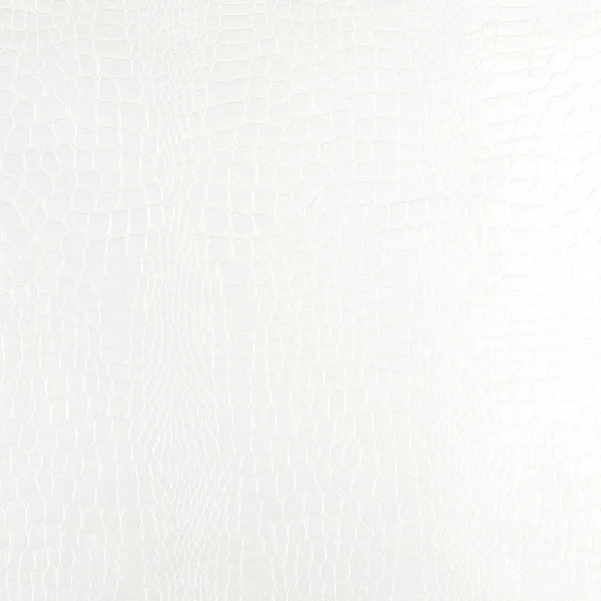 CROCODILE_ WHITE