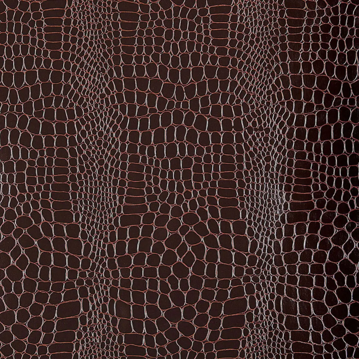 Crocodile_ JAVA