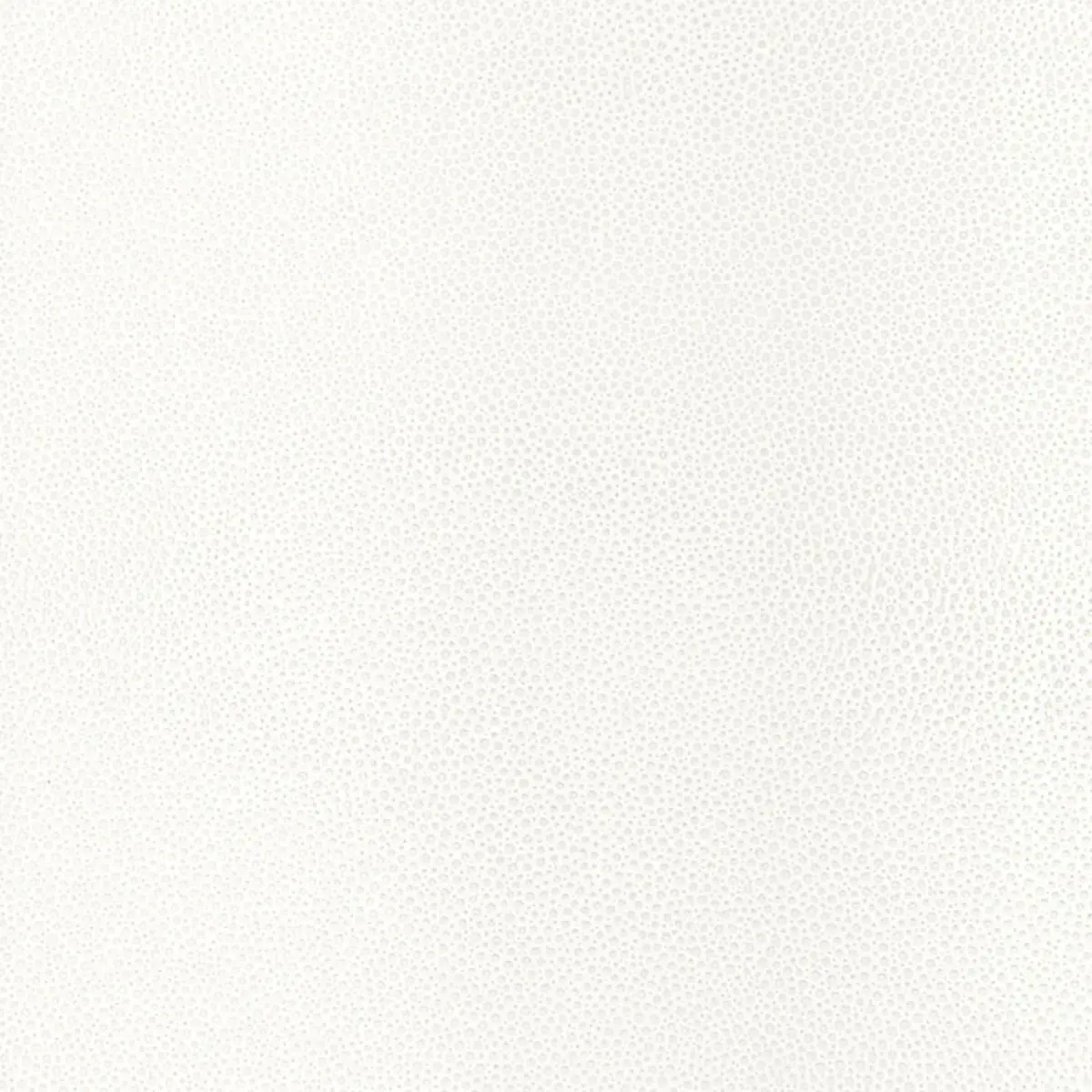 Shagreen_ WHITE PEARL