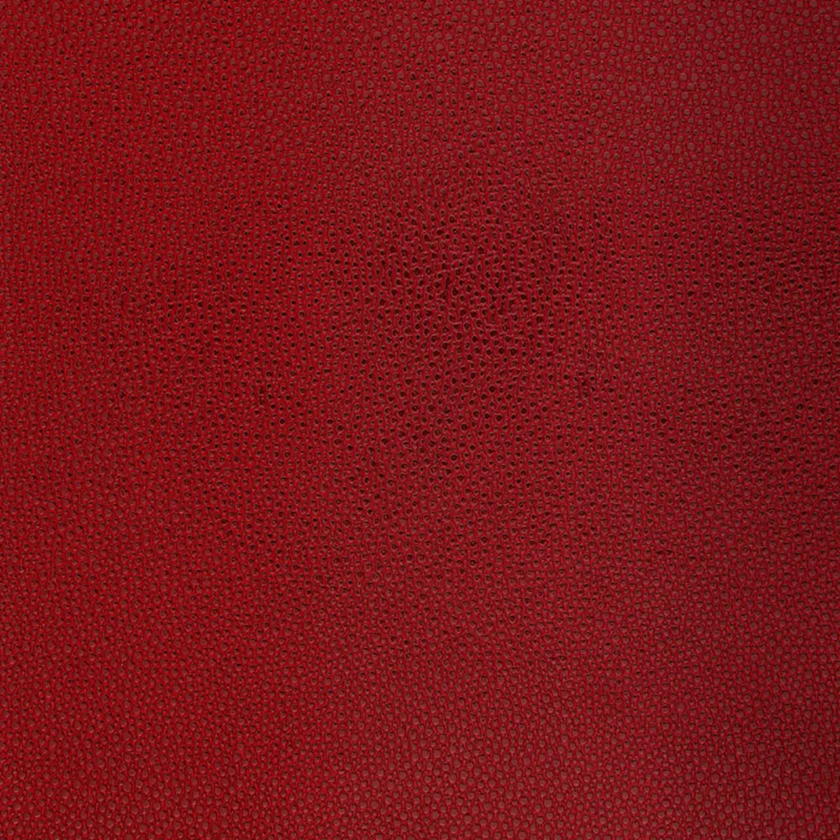 Shagreen_ OXBLOOD