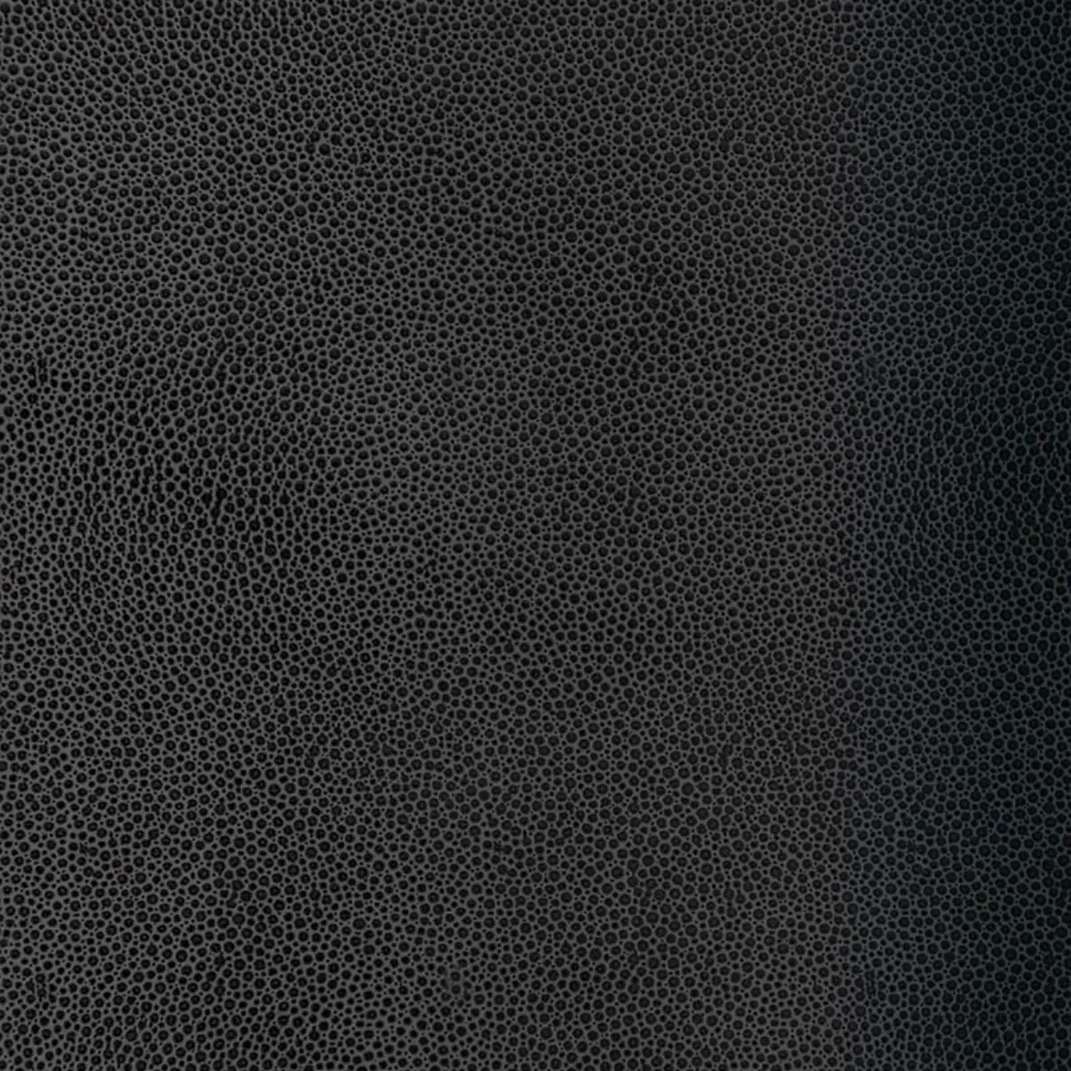 Shagreen_ CARBON