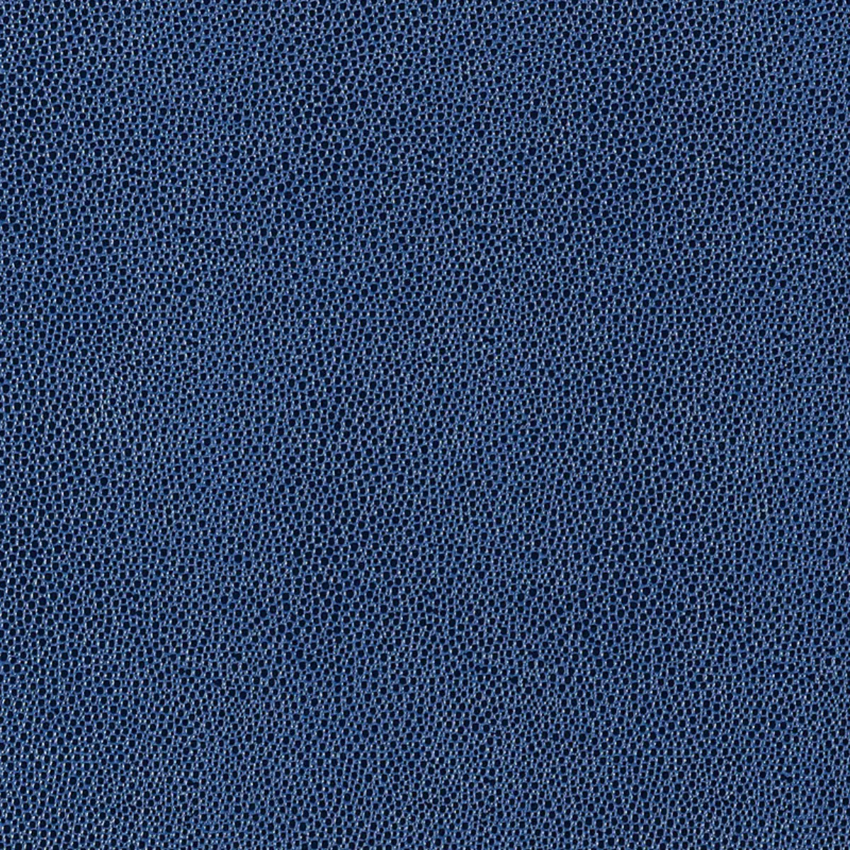 Shagreen_ ULTRAMARINE