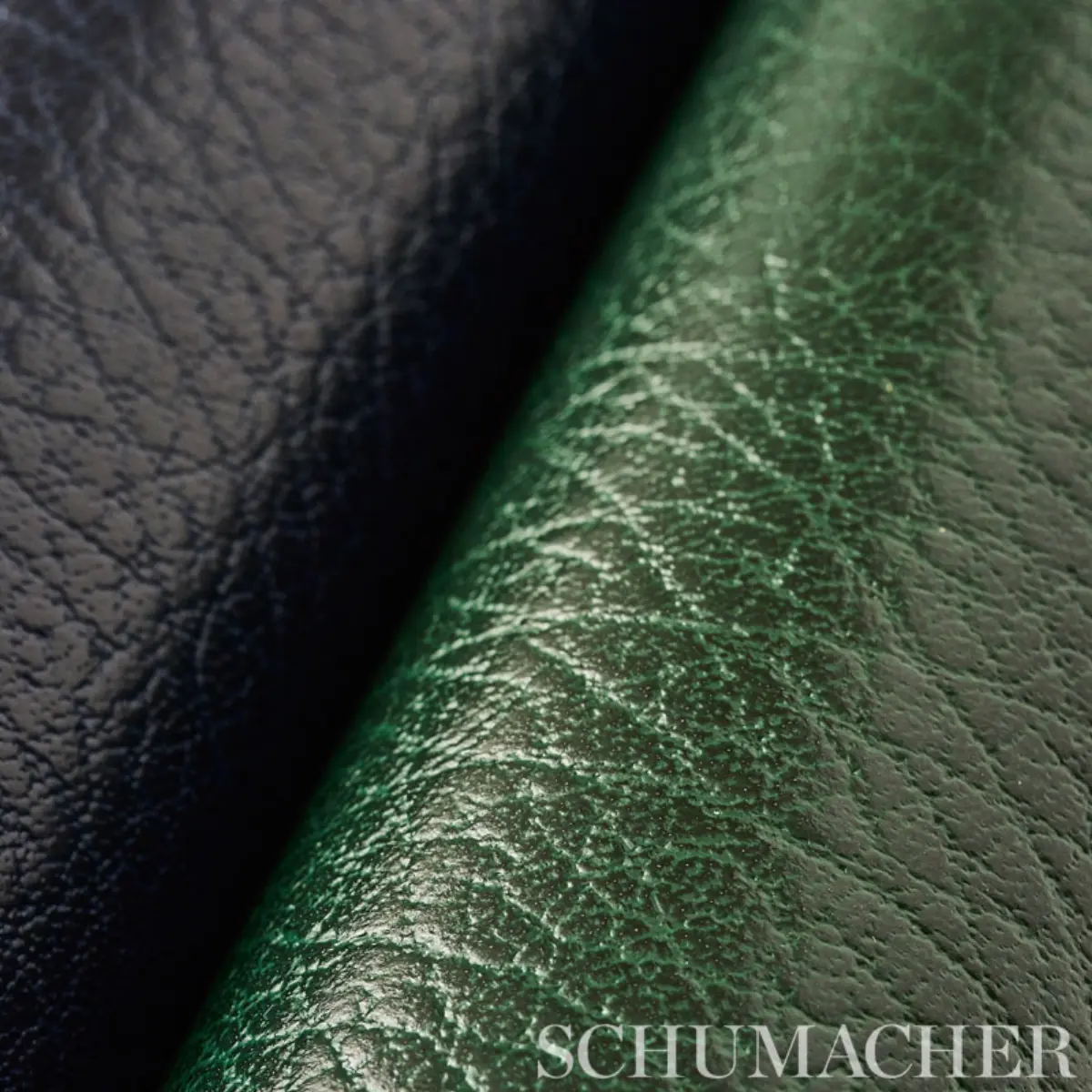 Canyon Leather_ HUNTER