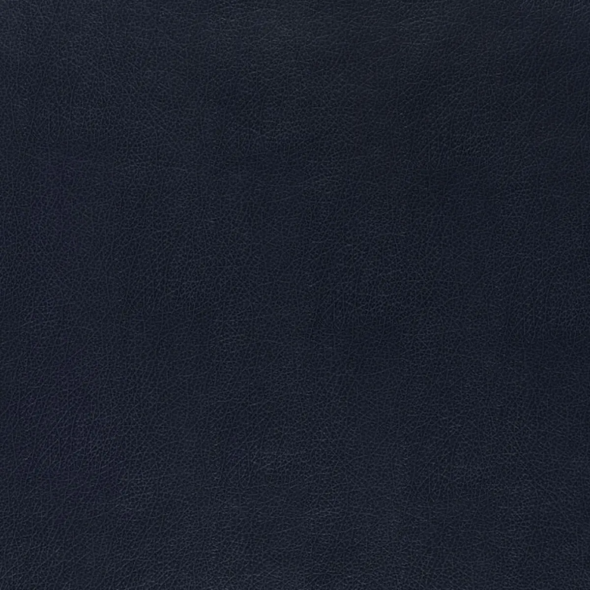 Canyon Leather_ NAVY