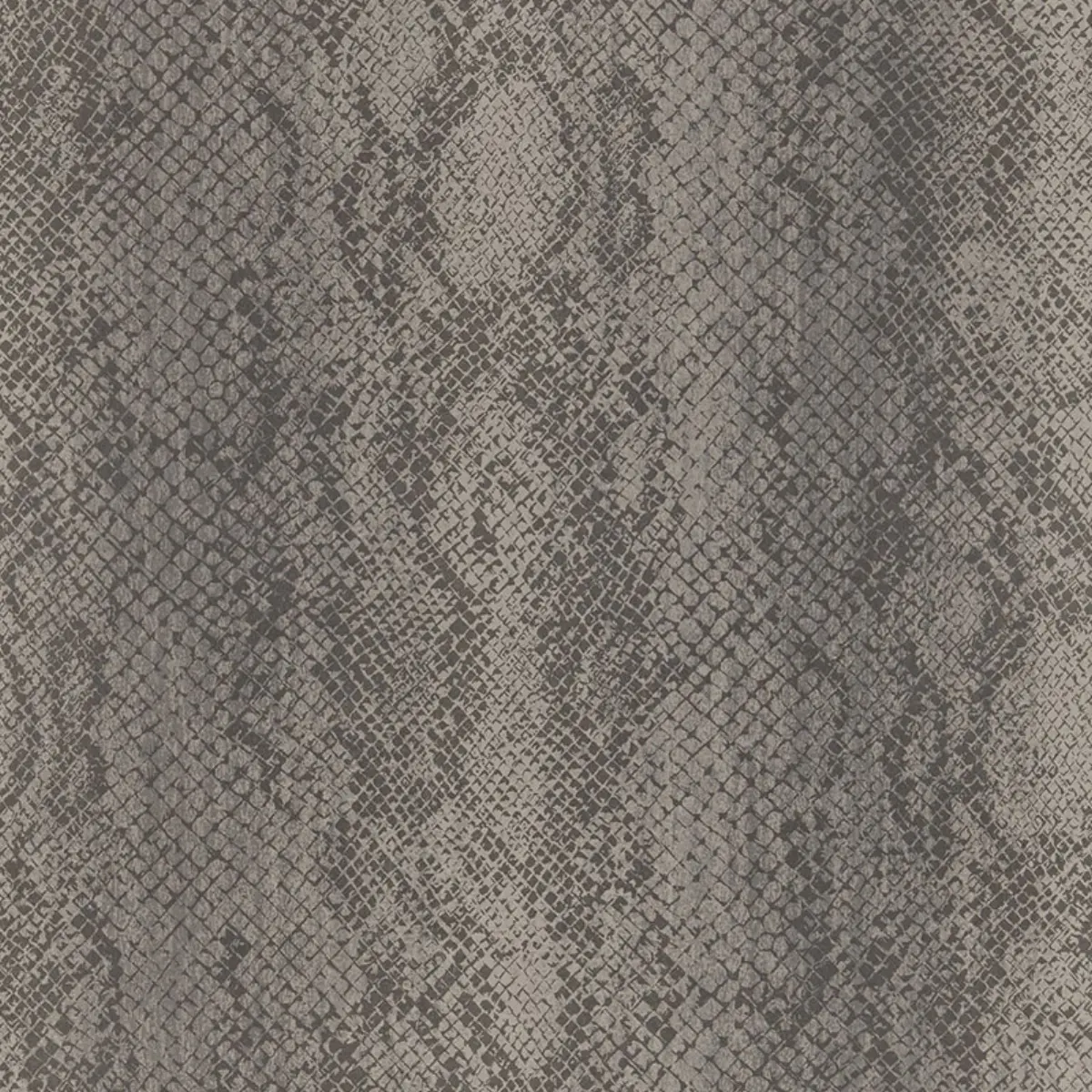 CODY SNAKESKIN_ SMOKE
