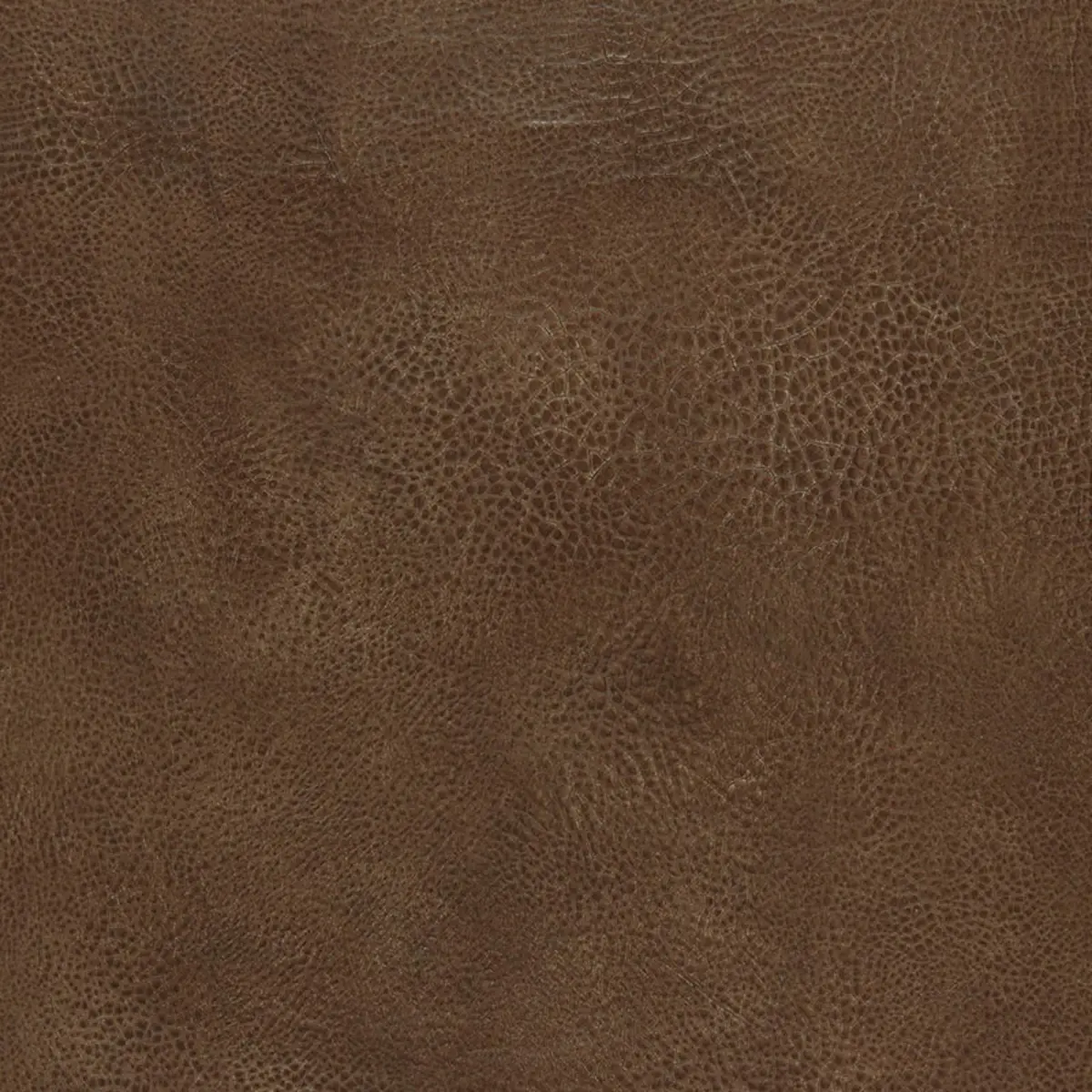 AMARILLO_ BLACK WALNUT