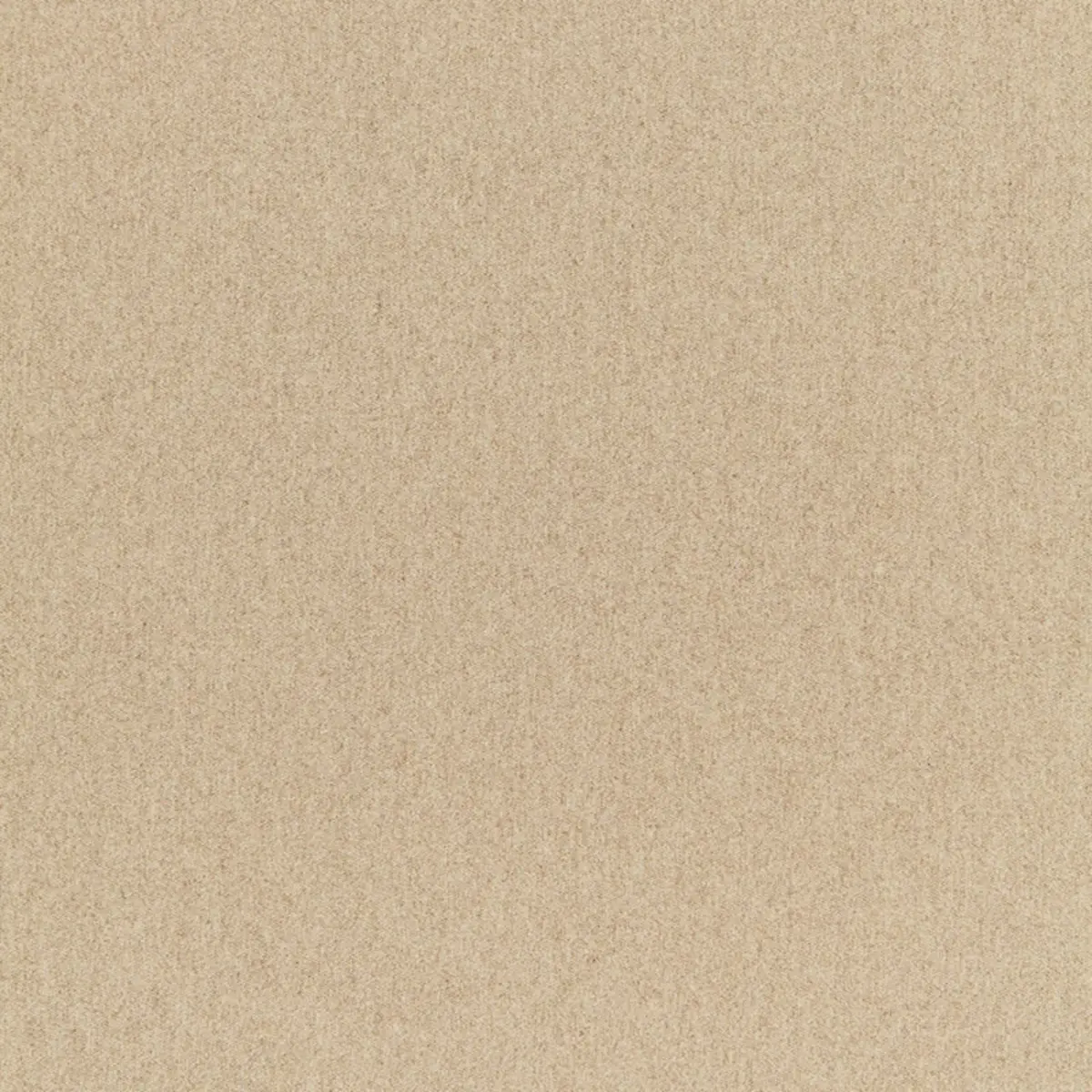 CHESTER WOOL SIDEWALL_ BARLEY