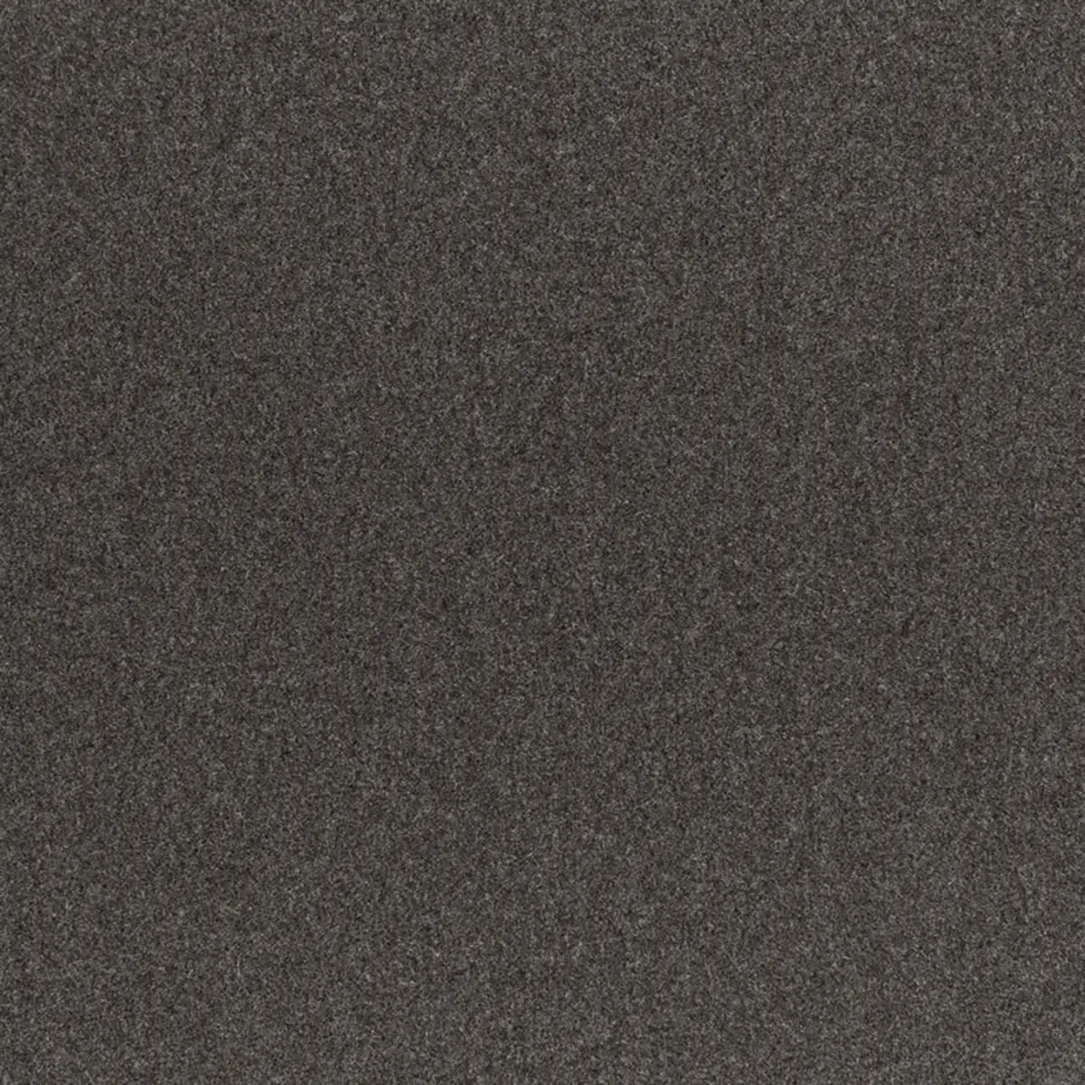 CHESTER WOOL SIDEWALL_ CHARCOAL