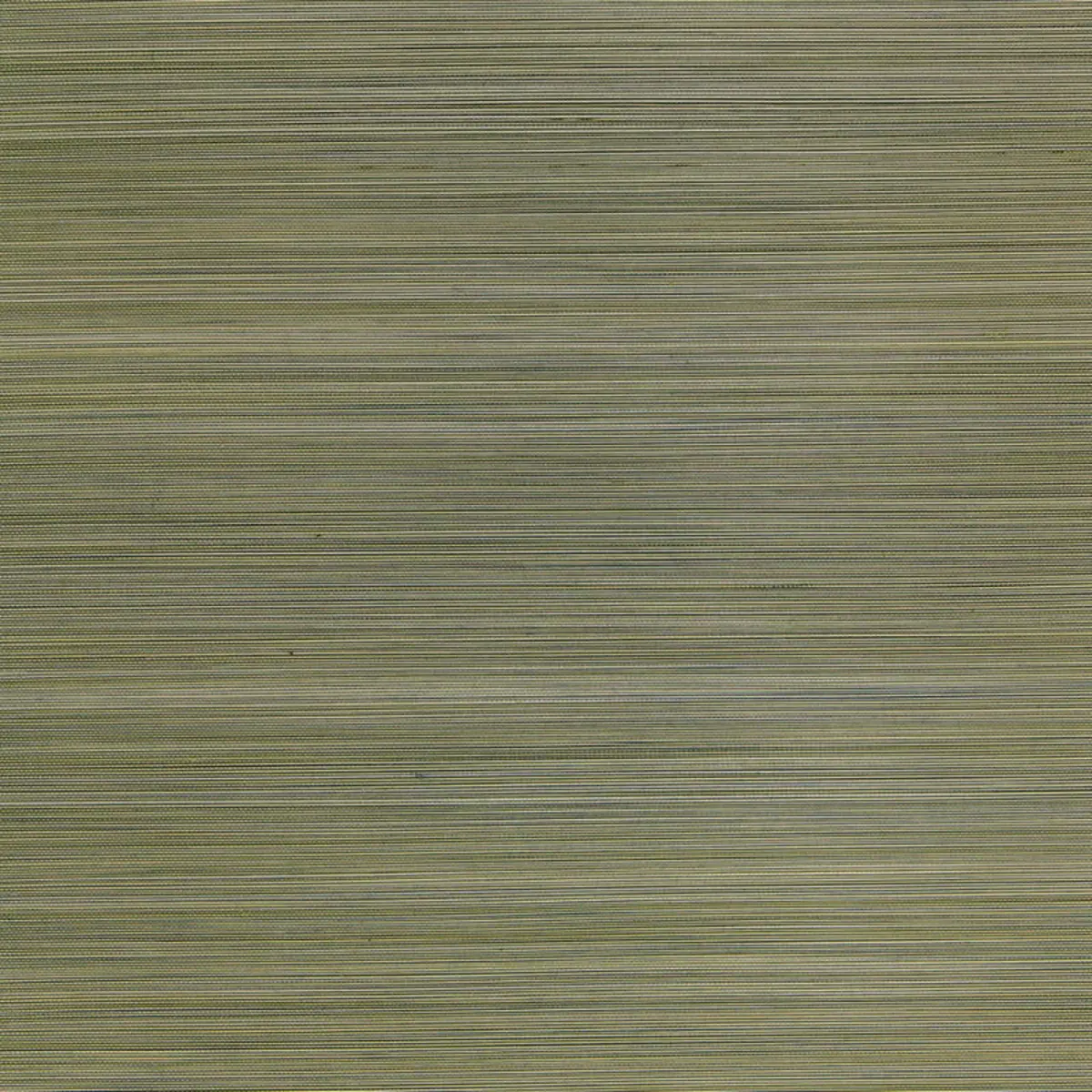 Zen Bamboo_ SAGE