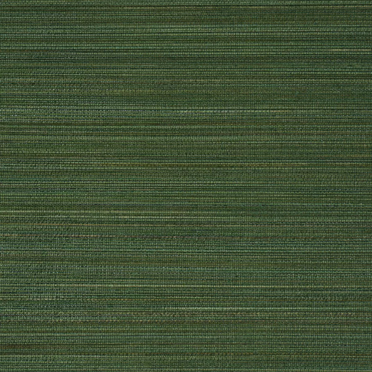 ZEN BAMBOO_ PALM