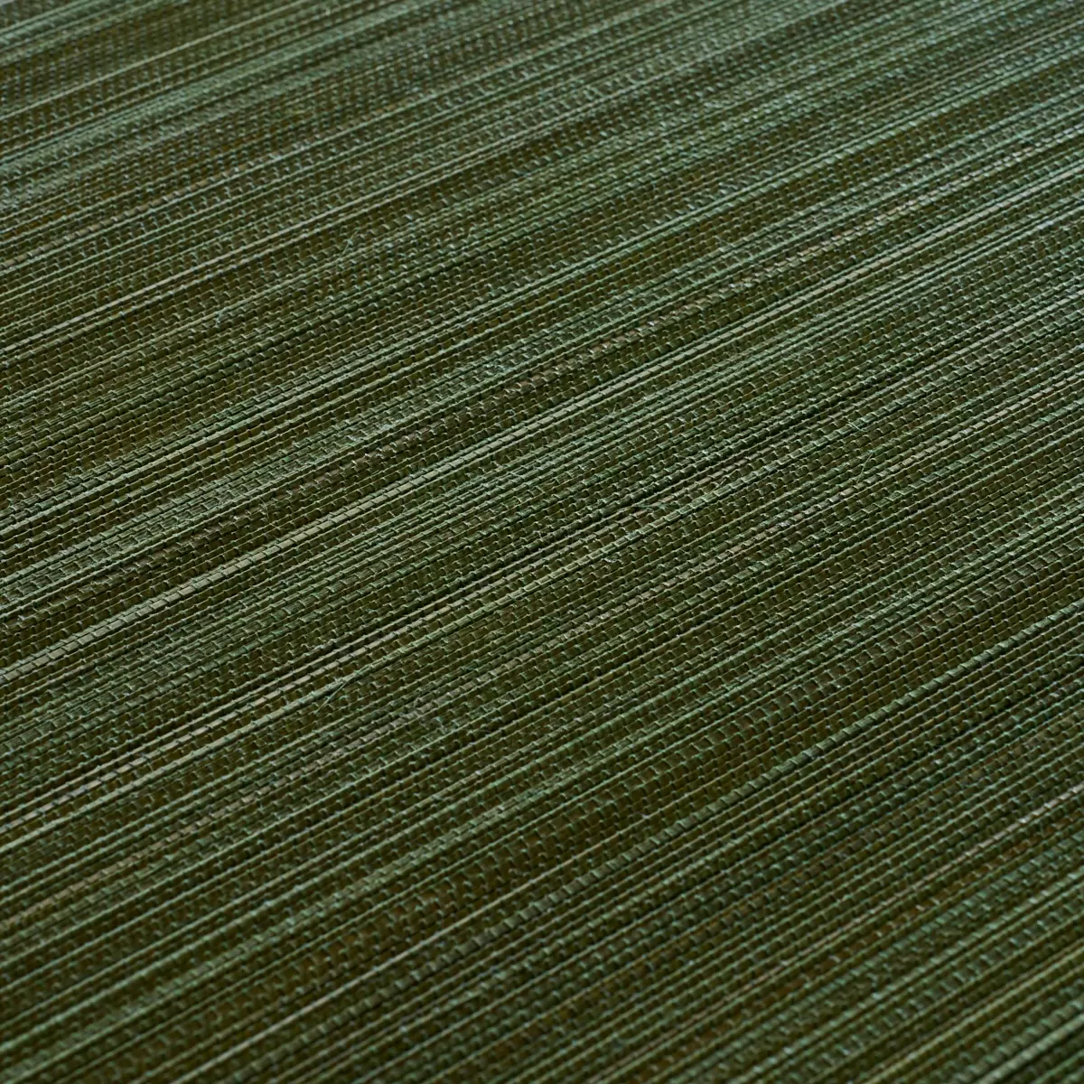 ZEN BAMBOO_ PALM
