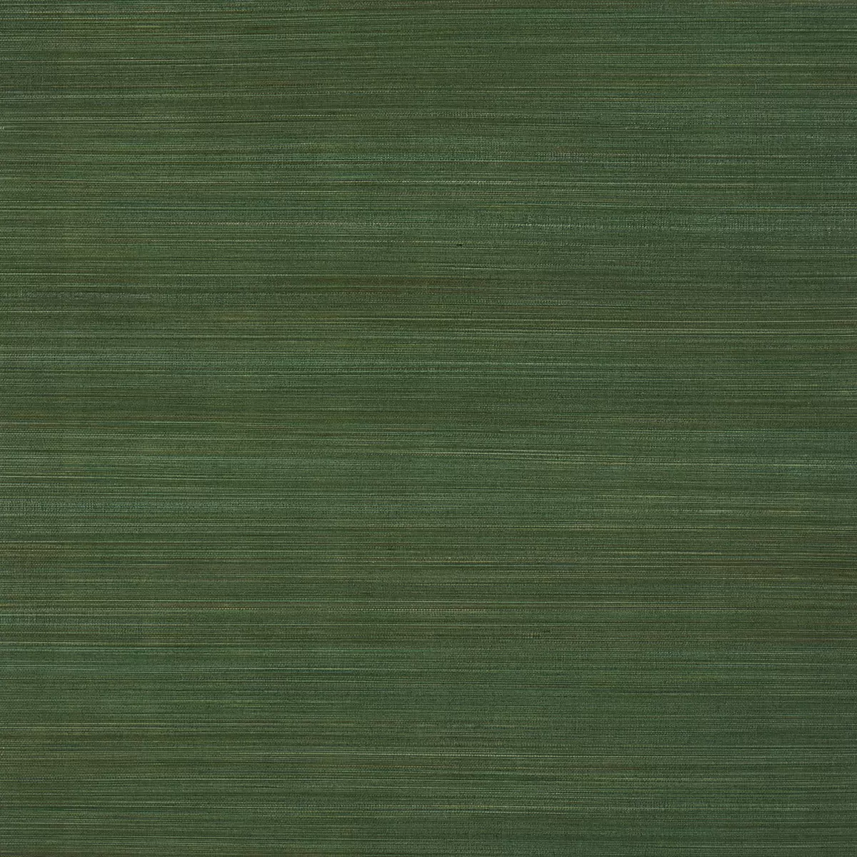 ZEN BAMBOO_ PALM