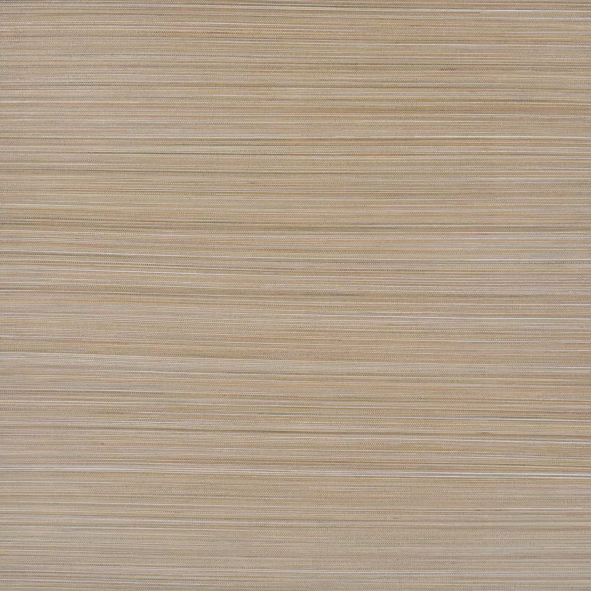ZEN BAMBOO_ NEUTRAL