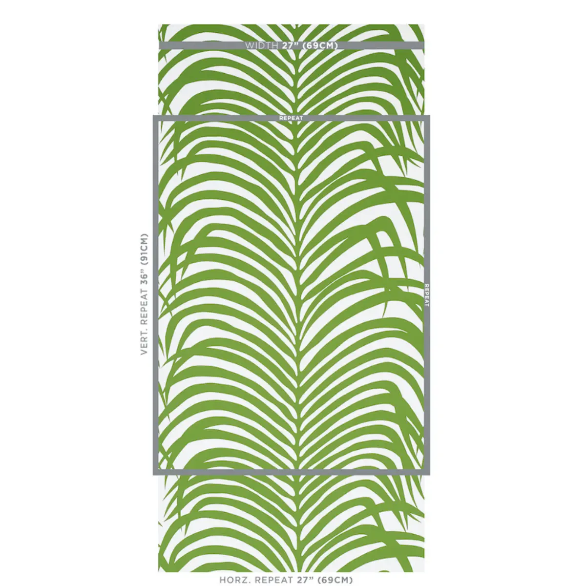 ZEBRA PALM_ JUNGLE