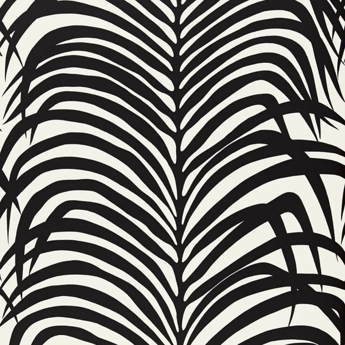 ZEBRA PALM_ EBONY