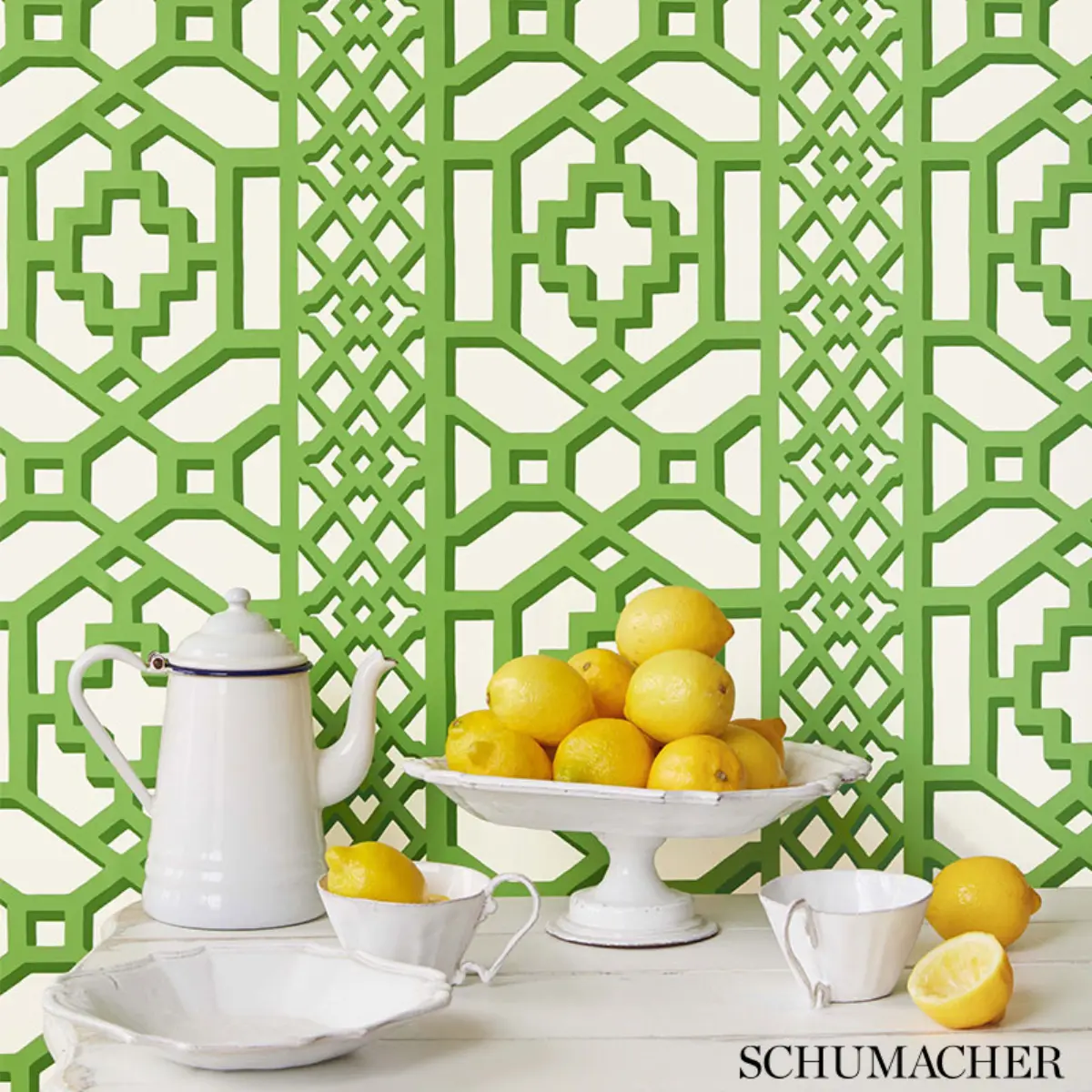 ZANZIBAR TRELLIS_ CLOUD