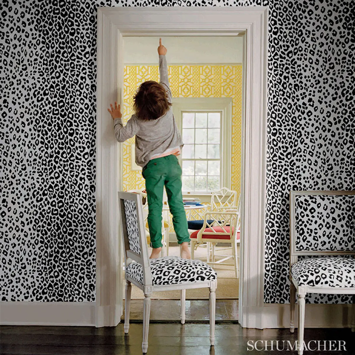ICONIC LEOPARD_ GRAPHITE
