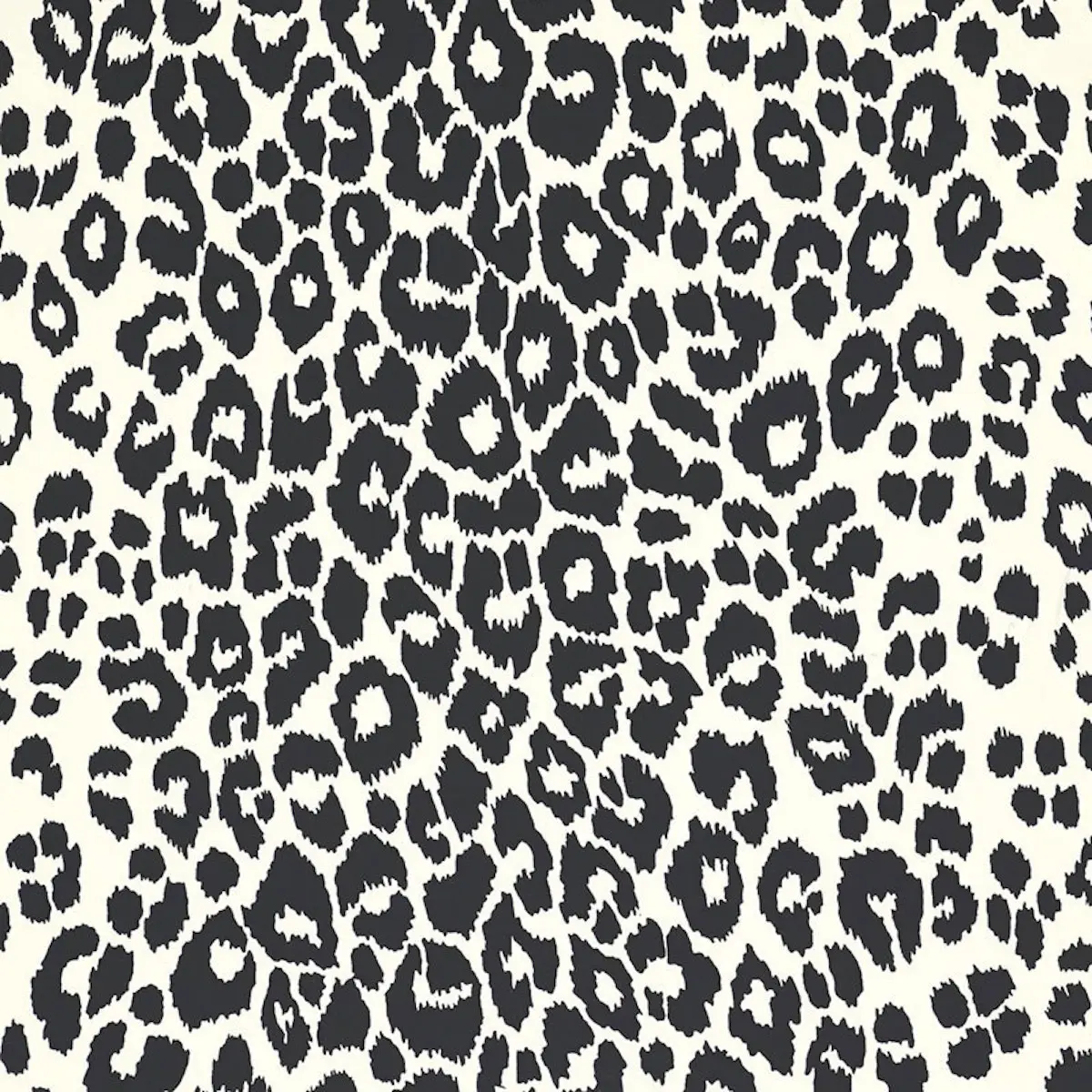 ICONIC LEOPARD_ GRAPHITE
